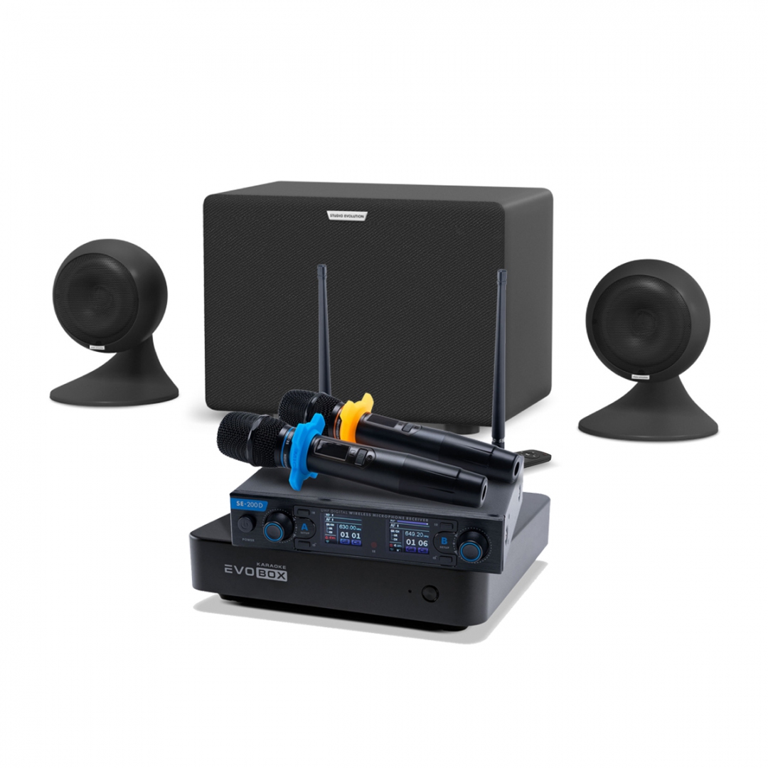 караоке-комплект EVOBOX + EvoSound Sphere 2.1 в Кинешме