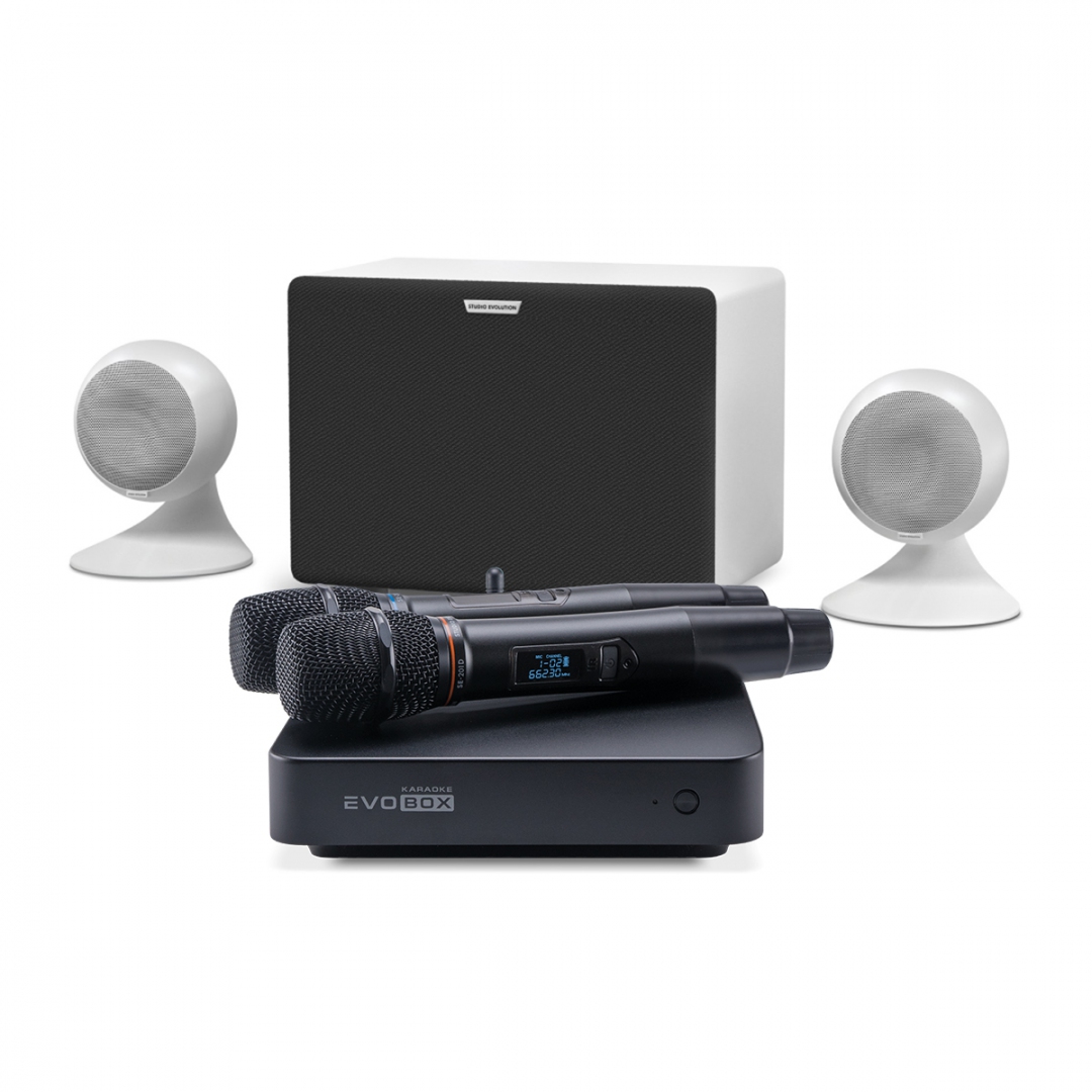 караоке-комплект EVOBOX Classic + EvoSound Sphere 2.1 в Кинешме