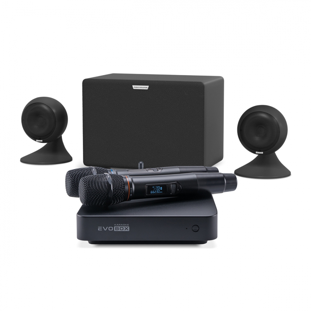 караоке-комплект EVOBOX Plus + EvoSound Sphere 2.1 в Кинешме