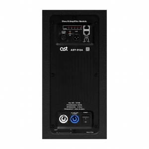Активная акустическая система AST-312A в Кинешме