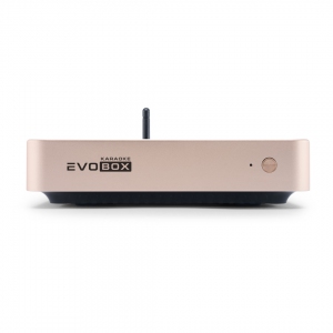 EVOBOX Plus караоке-система для дома в Кинешме