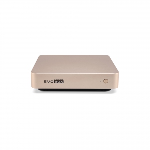 EVOBOX с микрофонами в Кинешме